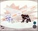 Brian Little Winnipeg Jets Autographed/Hand Signed 8x10 Mts Centre Overhead Centre Ice Photo