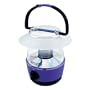 Dorcy 41-1017 4 LED Mini Lantern