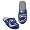 Penn State Nittany Lions