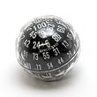 Opaque "Zocchihedron" Black with white 100-sided Die