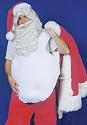 Costumes For All Occasions AC300 Santa Padding Standard