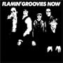 Flamin' Groovies Now