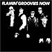 Flamin' Groovies Now