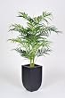 Artificial 4 Ft. Areca Palm Floor Plant