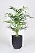 Artificial 4 Ft. Areca Palm Floor Plant