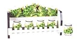 FROG 3-D Majolica Spice Rack & Jars *NEW*
