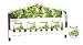 FROG 3-D Majolica Spice Rack & Jars *NEW*