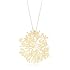 Nervous System Algal Bloom Gold