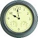 Chaney Instrument 01063 Indoor Outdoor Copper Clock thermometer Hygrometer
