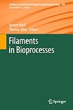 Filaments in bioprocesses