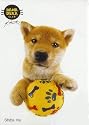Hanadeka Dog - Mini Puzzle - Shiba Inu