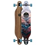 Arbor Rally Walnut Complete Skateboard, Assorted, 30.5" L X 8.9" W X 20" Wb (888961908999)