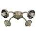 41CxkFqMg L. SL75  Finial Kit for Ceiling Fan Light Kits Finish: Mediterranean Walnut