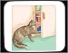 Mouse Pad with cat, curiosity, brown, cupboard, pet