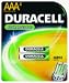 P &amp; G/ Duracell 83487 Rechargeable Battery