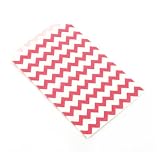 Medium Paper Gift Bag - Pink Chevron