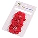 Roewell Cute Baby Girl Headbands Newborn Hair Bows Toddler Chiffon Hair Bows (6 Pcs)