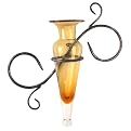 Amphora Glass Vase on Swirls Metal Sconce - Amber
