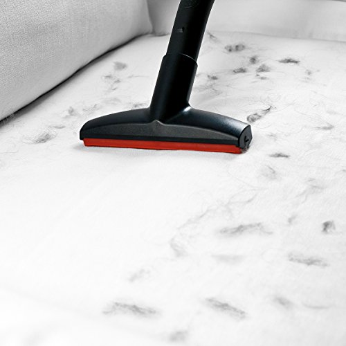 Imagen 6 de Bosch BGS51442