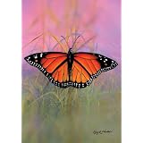 Monarch Welcome Garden 