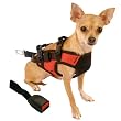 Snoozer Pet Safety Harness with Adapter Combination, Red & Black, Small