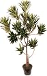 4' Bendable Dracaena Reflexa