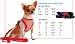 Dear Dog - Dog Harness - Pretty Pink Harness & Lead - Small