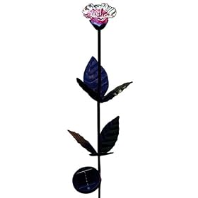 Luna Lite Pink Petunia