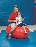 Sportime Physio Roll Exercise Therapy Fitness Ball - 12 Inches - Blue