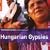 The Rough Guide to the Music of Hungarian Gypsies