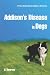 Addison's Disease in Dogs