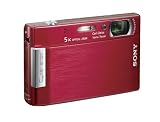 Sony Cyber SHOT DSC T100R Compact Camera ( 8.3 MP,5 x Optical Zoom,3 -inch LCD )