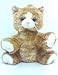 8" Orange Striped Kitten Make Your Own *NO SEW* Stuffed Animal Kit w/ T-shirt