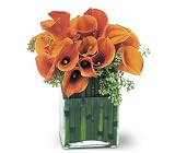 Teleflora's Bronze Callas
