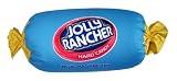 Sweet Thang Raspberry Jolly Microbead Pillow