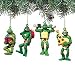 Teenage Mutant Ninja Turtle Ornaments Set