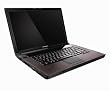 Lenovo IdeaPad Y530-7343U 15.4-Inch Laptop (2.13 GHz Intel Core 2 Duo P7450 Processor, 4 GB RAM, 320 GB Hard Drive, Vista Premium) Black