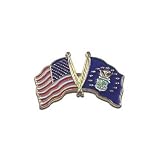 US and Air Force Lapel Pin