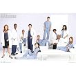 (24x36) Grey's Anatomy (Group) TV Poster Print