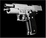 �����֥����Хå����꡼�� SIG P226 �������ॹ�ƥ�쥹