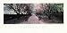 Esplanade by Richard Berenholtz - Fine Art Print / Poster - 36.00 x 18.00