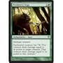 Magic: the Gathering - Predatory Urge - Zendikar