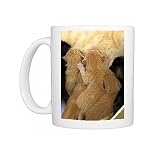 Photo Mugs of Cat - ginger kittens suckling from Ardea Wildlife Pets