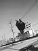 Acrobatic Chimp is Movie Stunt Man Janos Prohaska, Who Practices Tricks in Working Cl...