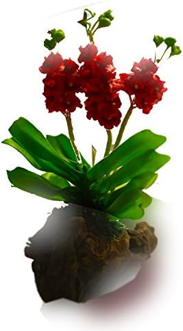 Kinnaree Thai Paper Flexible Clay Flower with Gift Ready Box - Assorted (Red Orchid Bunch)