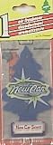CAR-FRESHNER CORP U1P-10189 CAR AIR FRESHNER (PACK OF 24)