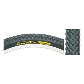 WTB All Terrainasaurus Trekking/Hybrid Bike Tire (26x1.95, Wire Beaded Comp, Black)
