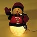 Mississippi Rebels Fiber Optic Snowman