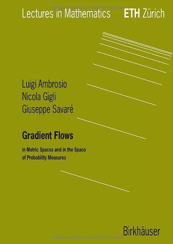 Gradient Flows (Lectures in Mathematics. ETH Zürich (closed))