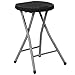 Flash Furniture Foldable Stool with Black Plastic Seat and Titanium Frame